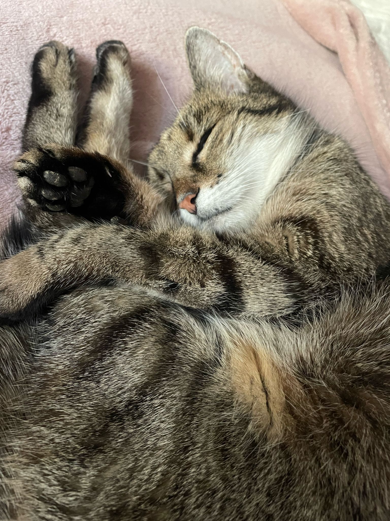 Imagine suplimentară